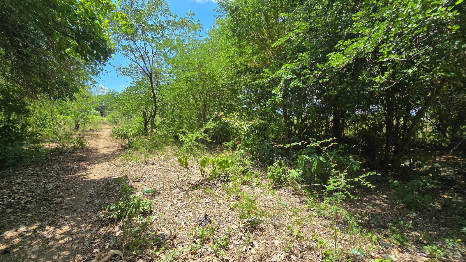 Eighteenth image of Four Paths Main Road in Four Paths, Clarendon, Jamaica - property is For Sale