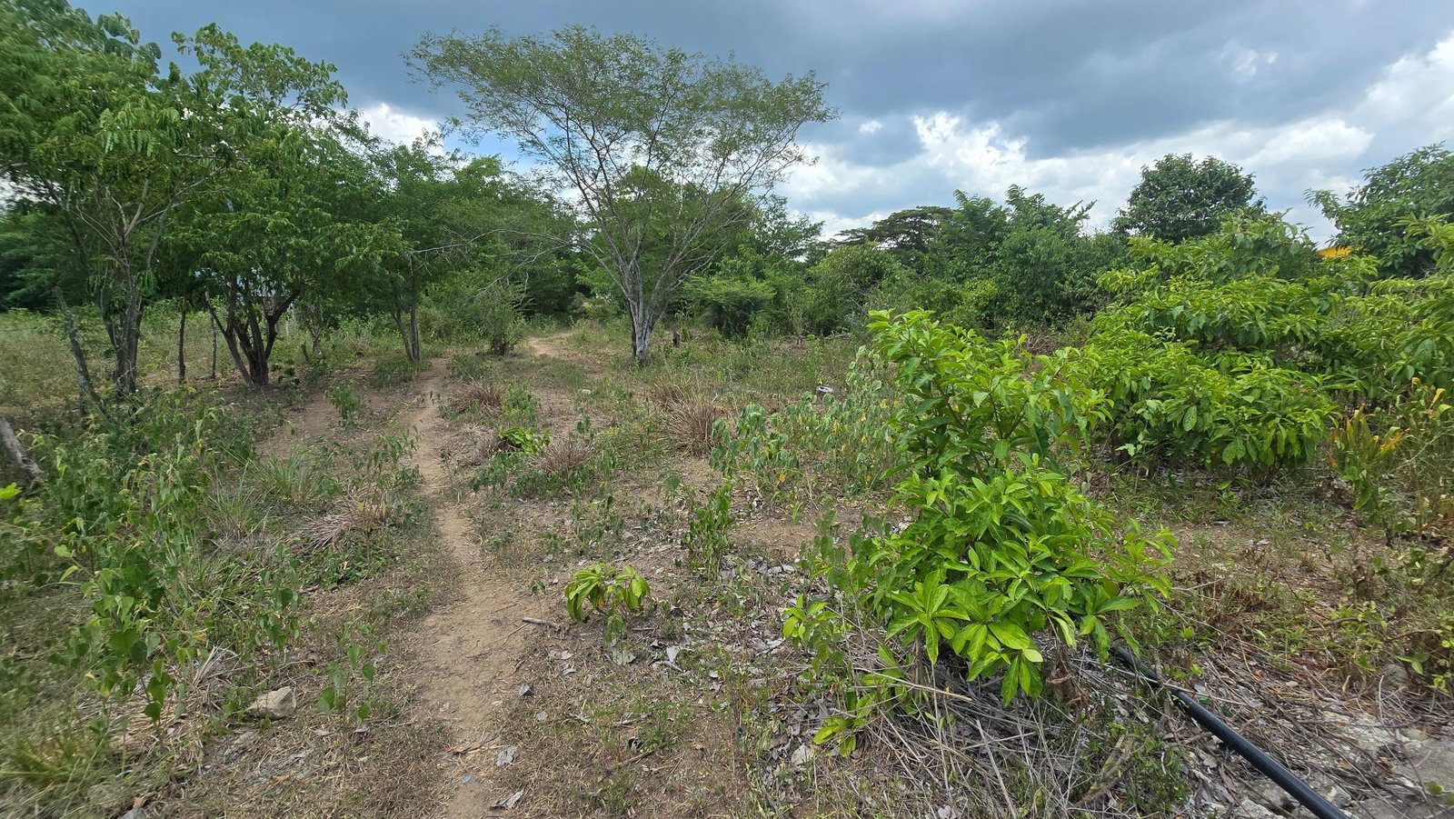 Nineteenth image of Four Paths Main Road in Four Paths, Clarendon, Jamaica - property is For Sale