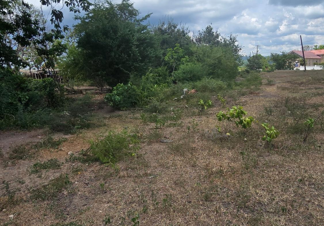 Third image of Four Paths Main Road in Four Paths, Clarendon, Jamaica - property is For Sale