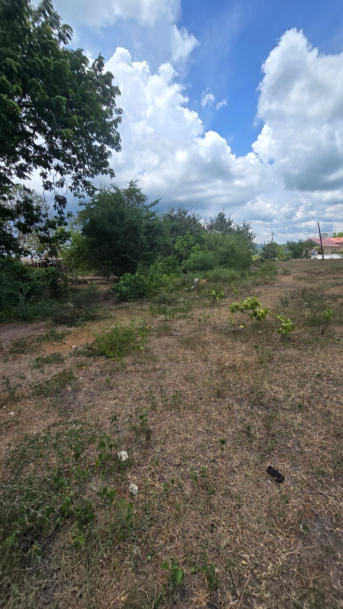 Third image of Four Paths Main Road in Four Paths, Clarendon, Jamaica - property is For Sale