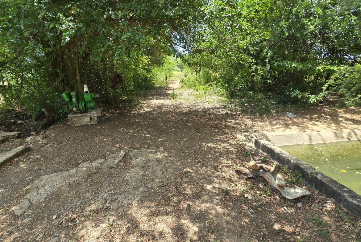 Twenty-First image of Four Paths Main Road in Four Paths, Clarendon, Jamaica - property is For Sale