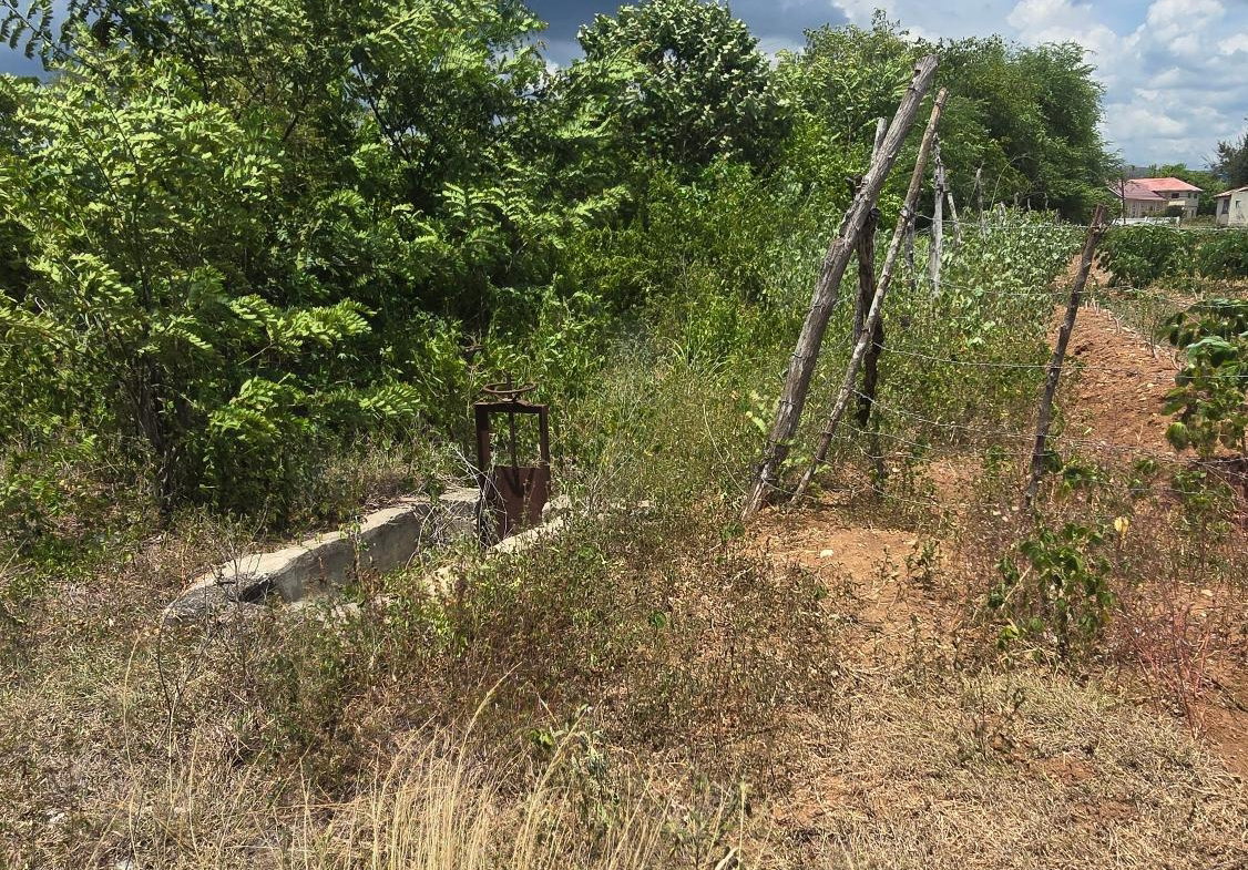 Tenth image of Four Paths Main Road in Four Paths, Clarendon, Jamaica - property is For Sale