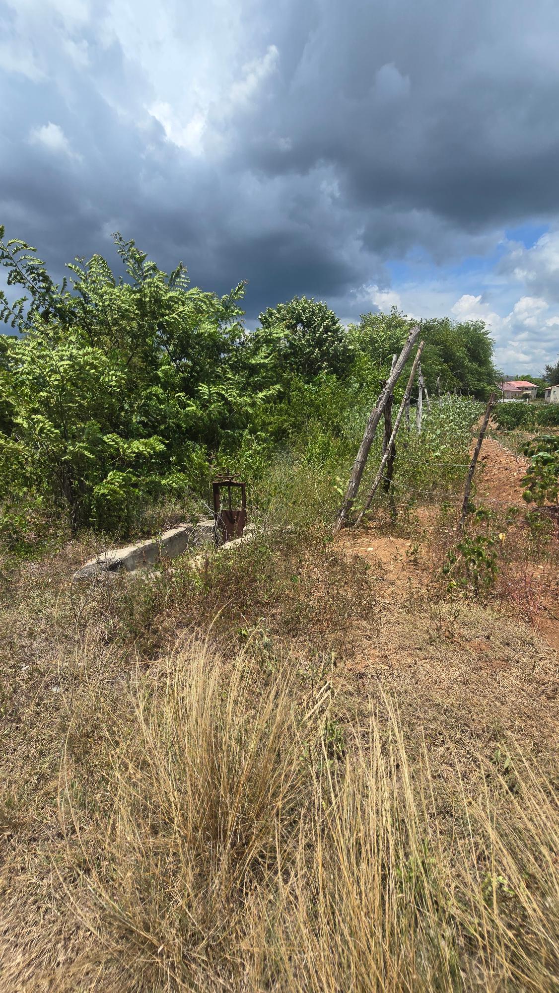 Tenth image of Four Paths Main Road in Four Paths, Clarendon, Jamaica - property is For Sale