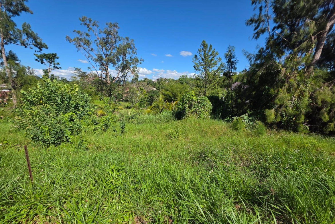 Fifth image of Lot 13 The Kendals Battersea, ma in Battersea, Manchester, Jamaica - property is For Sale