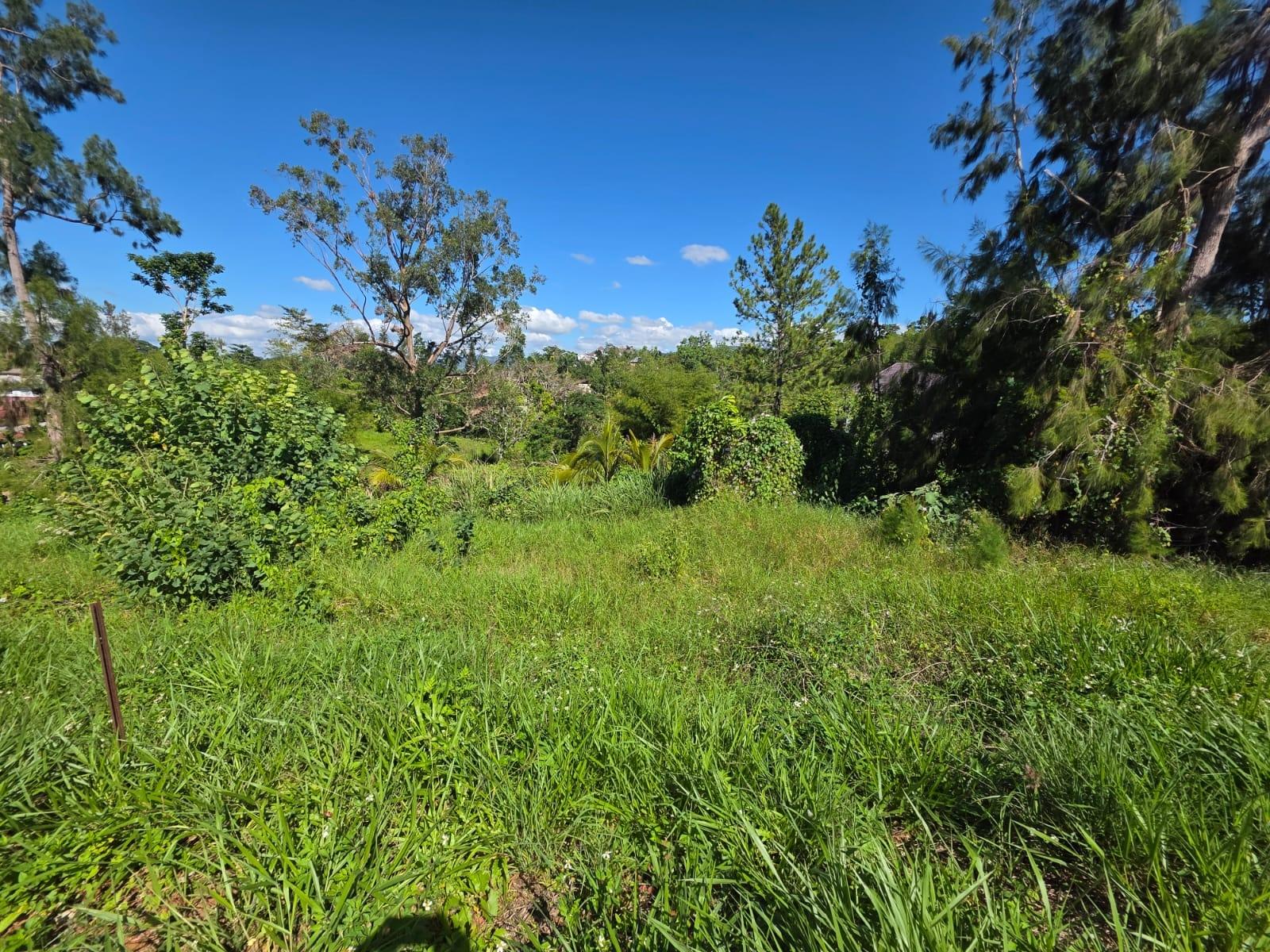 Fifth image of Lot 13 The Kendals Battersea, ma in Battersea, Manchester, Jamaica - property is For Sale