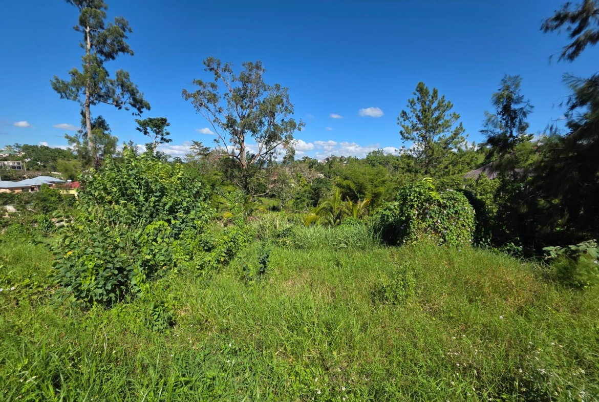 Sixth image of Lot 13 The Kendals Battersea, ma in Battersea, Manchester, Jamaica - property is For Sale