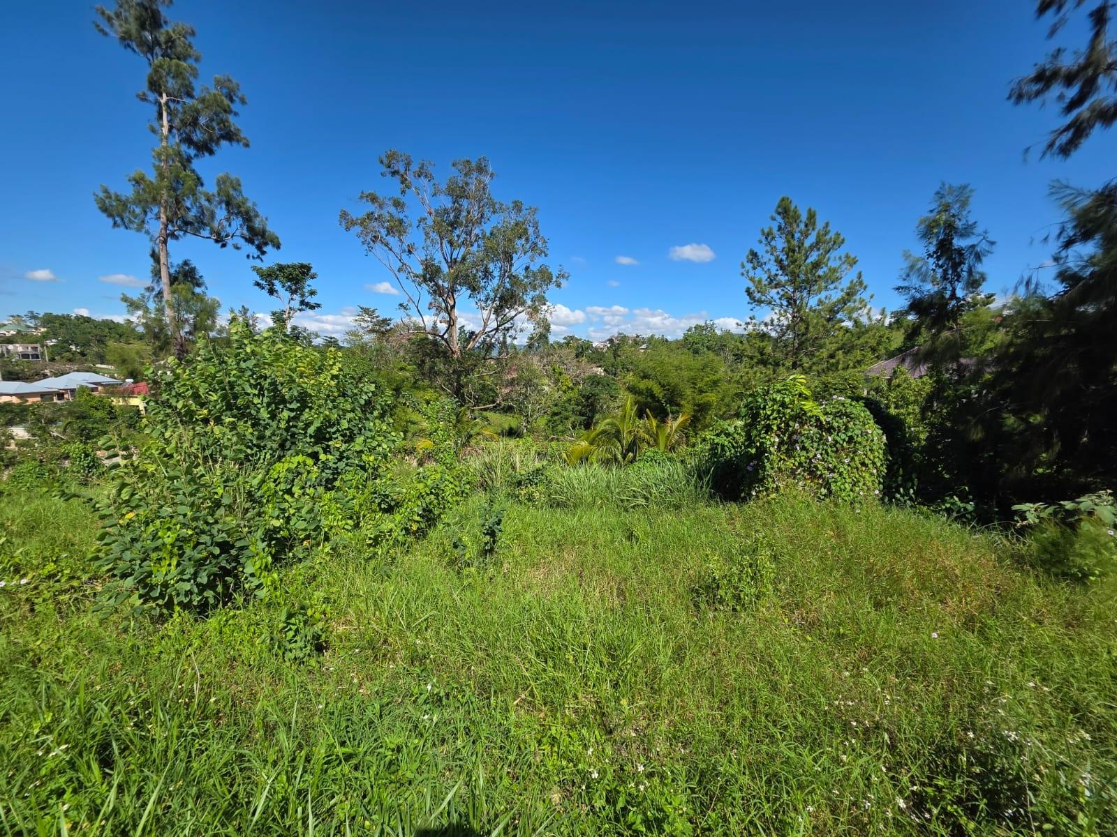 Sixth image of Lot 13 The Kendals Battersea, ma in Battersea, Manchester, Jamaica - property is For Sale