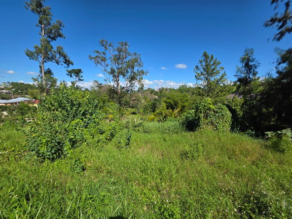 Sixth image of Lot 13 The Kendals Battersea, ma in Battersea, Manchester, Jamaica - property is For Sale
