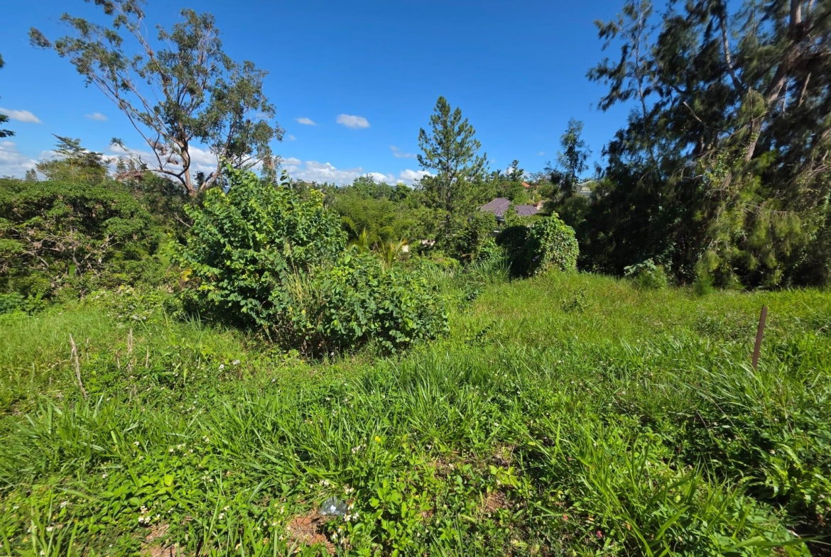 Seventh image of Lot 13 The Kendals Battersea, ma in Battersea, Manchester, Jamaica - property is For Sale