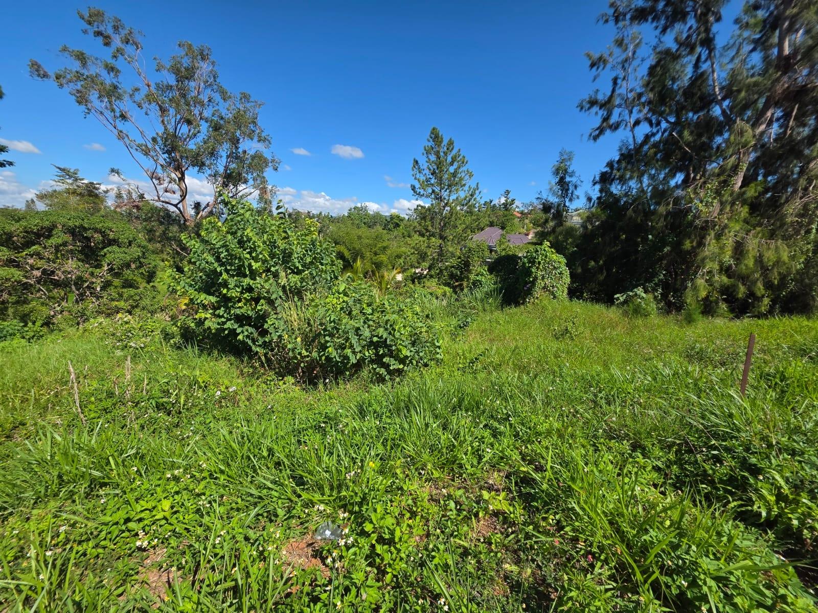 Seventh image of Lot 13 The Kendals Battersea, ma in Battersea, Manchester, Jamaica - property is For Sale