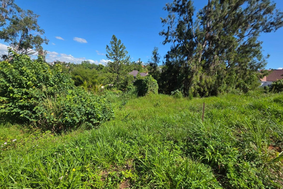 Eighth image of Lot 13 The Kendals Battersea, ma in Battersea, Manchester, Jamaica - property is For Sale