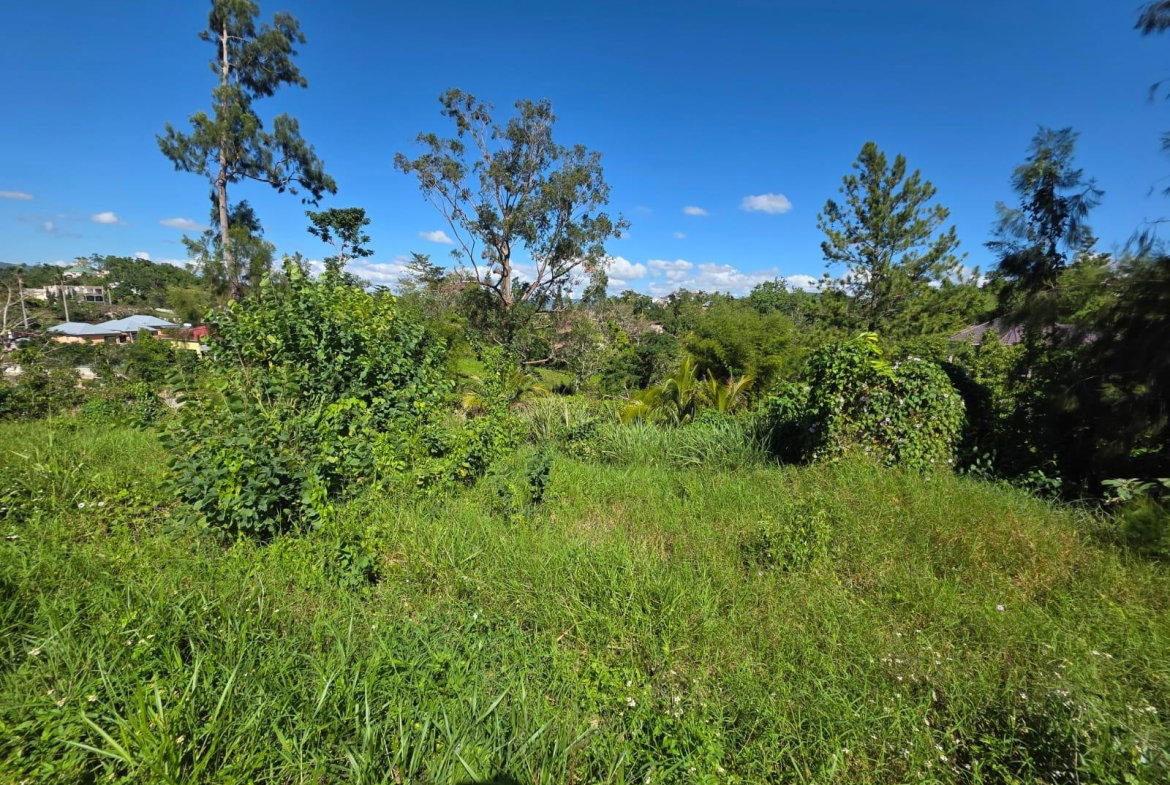 Ninth image of Lot 13 The Kendals Battersea, ma in Battersea, Manchester, Jamaica - property is For Sale
