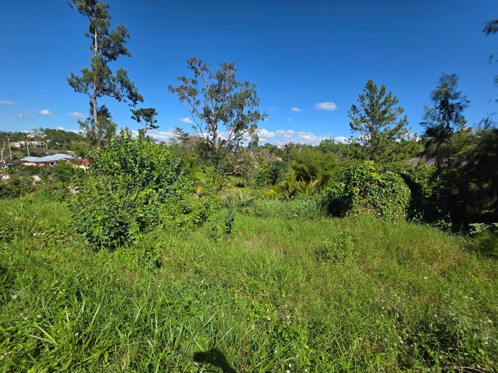 Ninth image of Lot 13 The Kendals Battersea, ma in Battersea, Manchester, Jamaica - property is For Sale