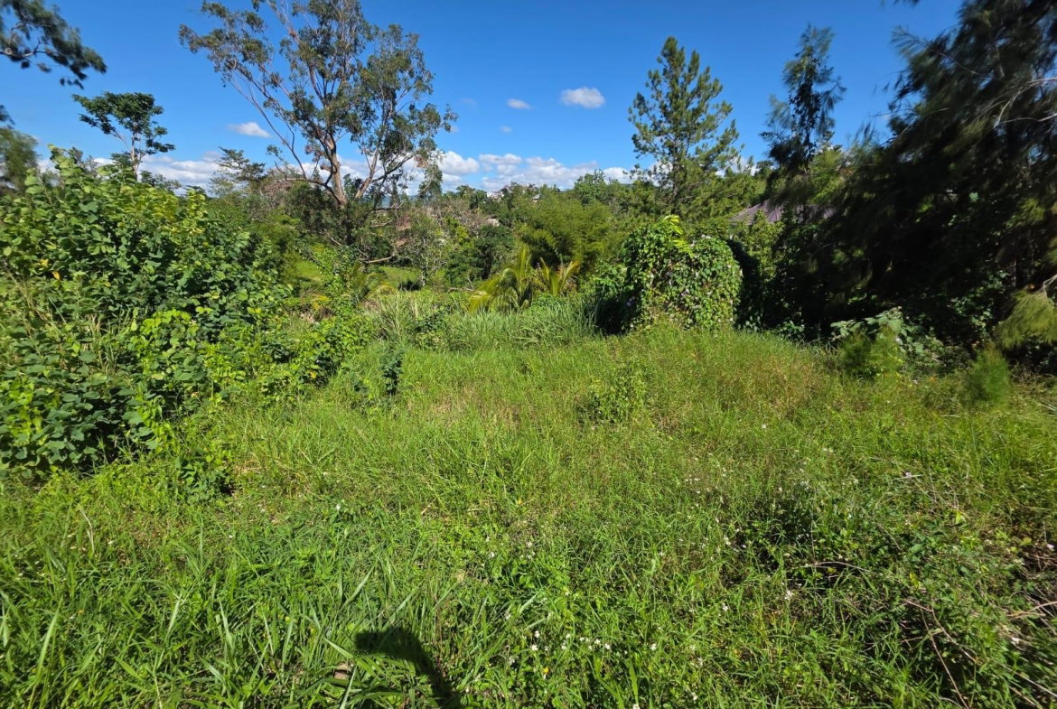Tenth image of Lot 13 The Kendals Battersea, ma in Battersea, Manchester, Jamaica - property is For Sale