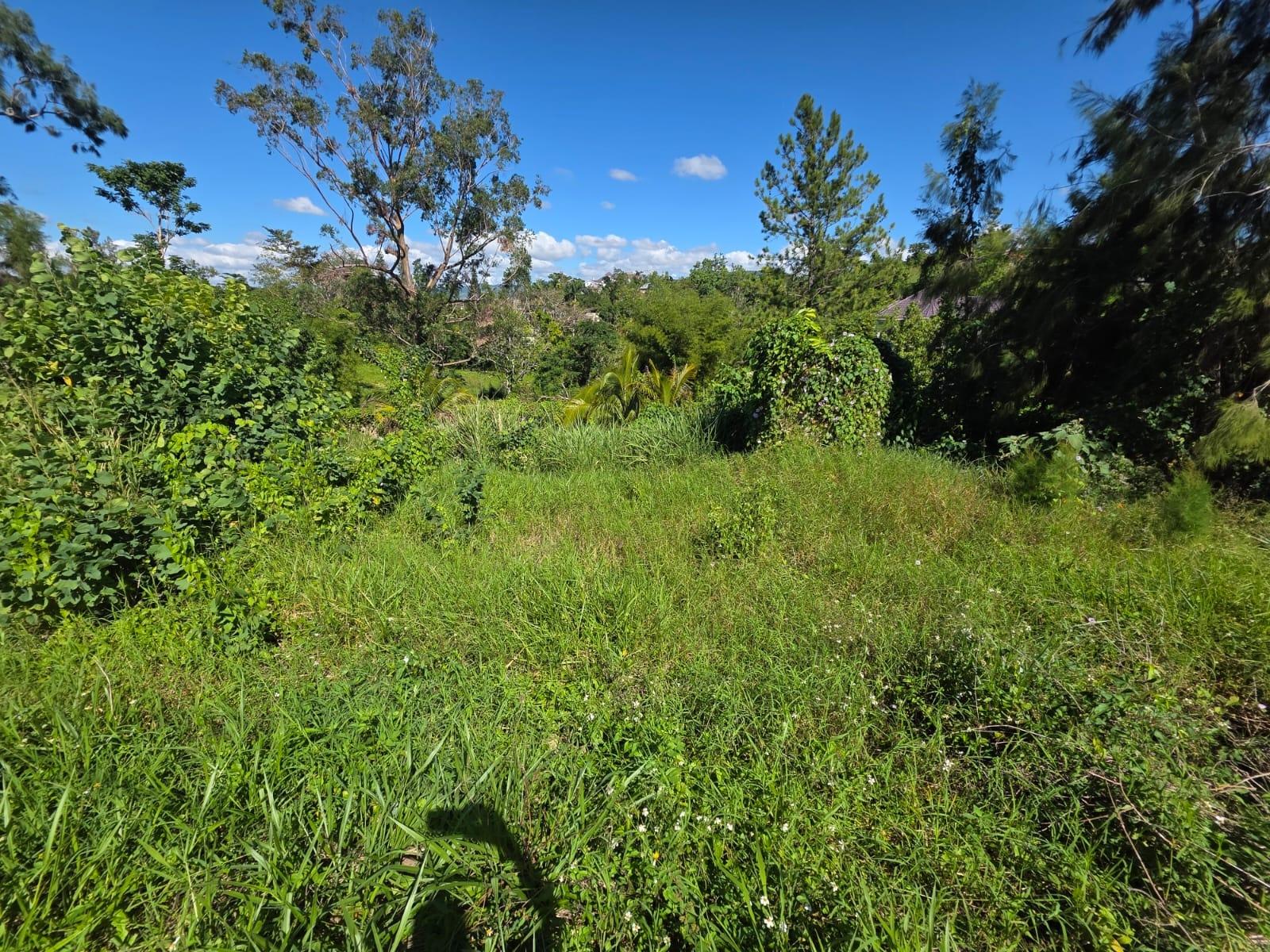 Tenth image of Lot 13 The Kendals Battersea, ma in Battersea, Manchester, Jamaica - property is For Sale
