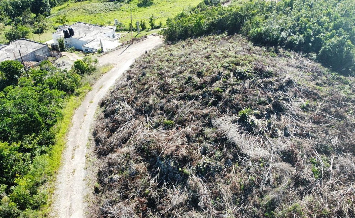 Second image of Kingsland And Cheveley in Mandeville, Manchester, Jamaica - property is For Sale