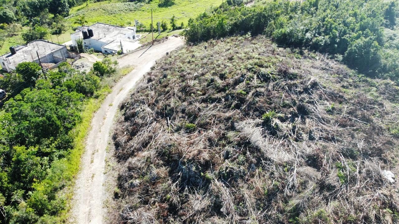 Second image of Kingsland And Cheveley in Mandeville, Manchester, Jamaica - property is For Sale