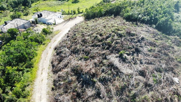 Second image of Kingsland And Cheveley in Mandeville, Manchester, Jamaica - property is For Sale
