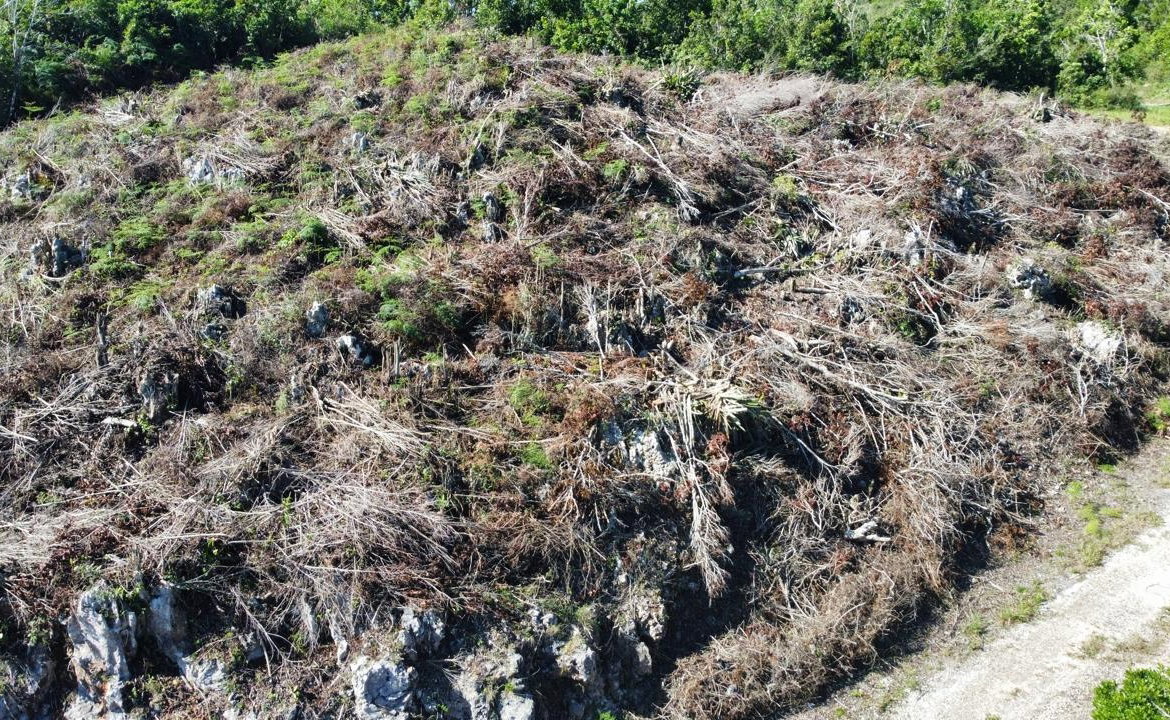 Eleventh image of Kingsland And Cheveley in Mandeville, Manchester, Jamaica - property is For Sale