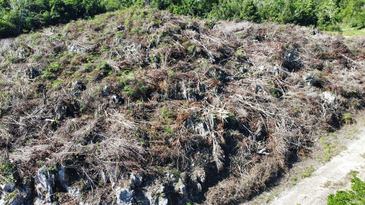 Eleventh image of Kingsland And Cheveley in Mandeville, Manchester, Jamaica - property is For Sale