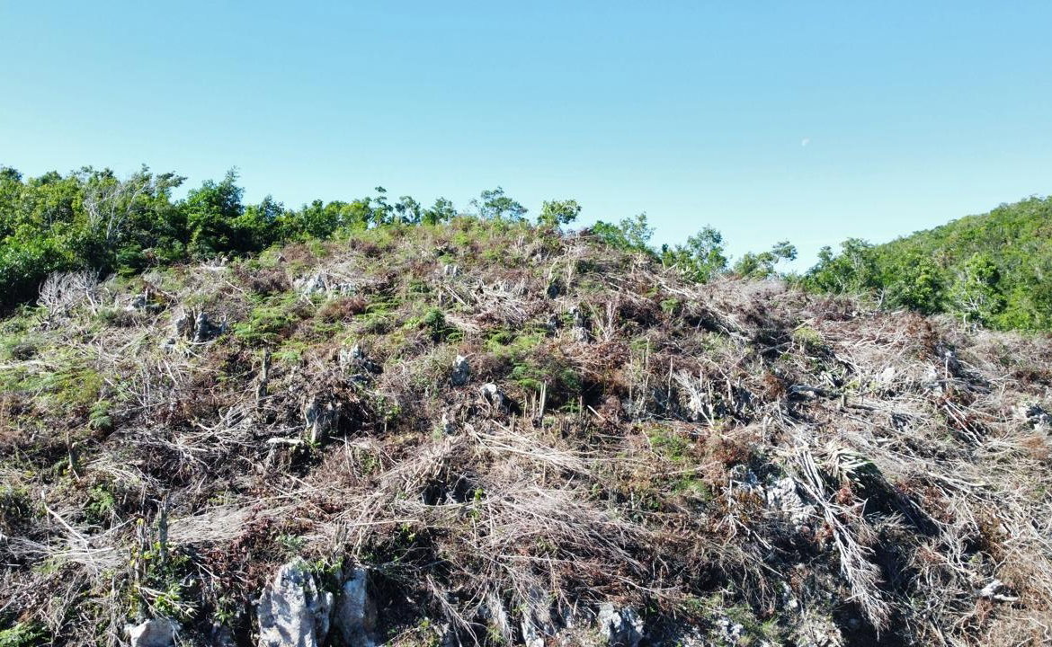 Twelfth image of Kingsland And Cheveley in Mandeville, Manchester, Jamaica - property is For Sale