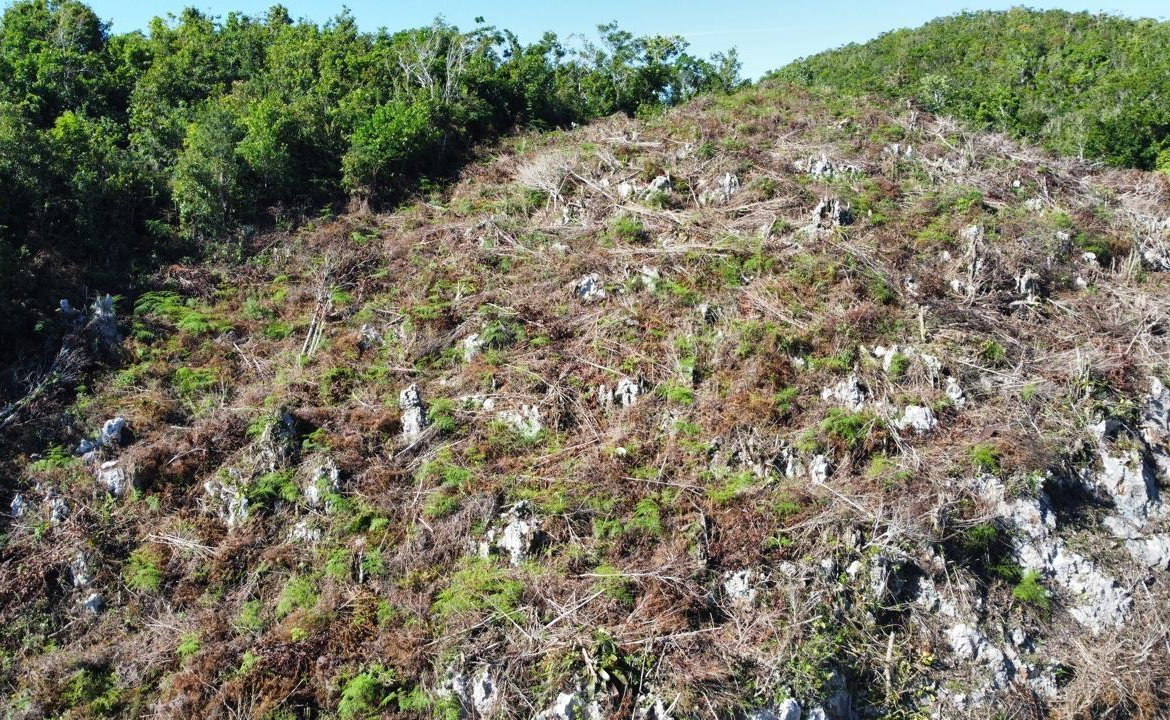 Thirteenth image of Kingsland And Cheveley in Mandeville, Manchester, Jamaica - property is For Sale