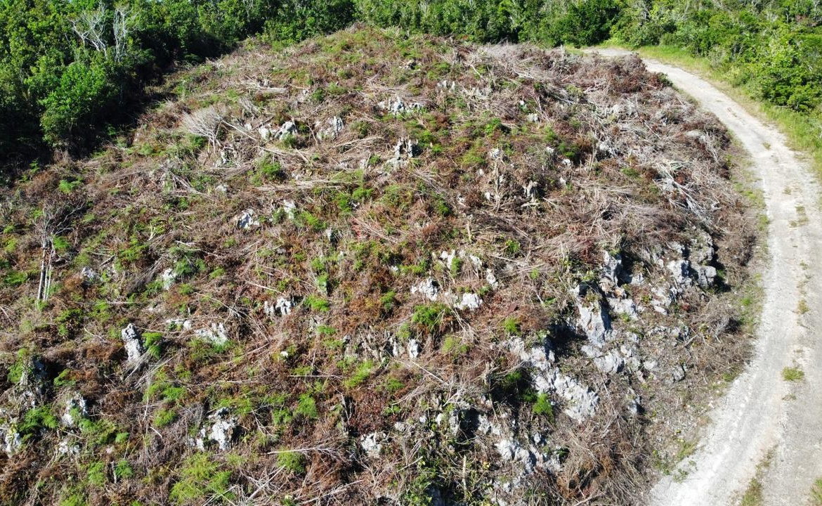 Fourteenth image of Kingsland And Cheveley in Mandeville, Manchester, Jamaica - property is For Sale