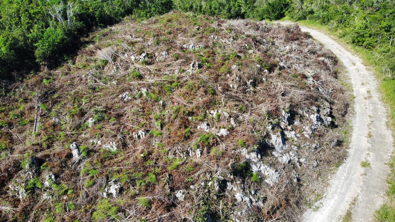 Fourteenth image of Kingsland And Cheveley in Mandeville, Manchester, Jamaica - property is For Sale