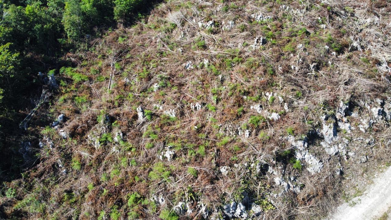 Fifteenth image of Kingsland And Cheveley in Mandeville, Manchester, Jamaica - property is For Sale