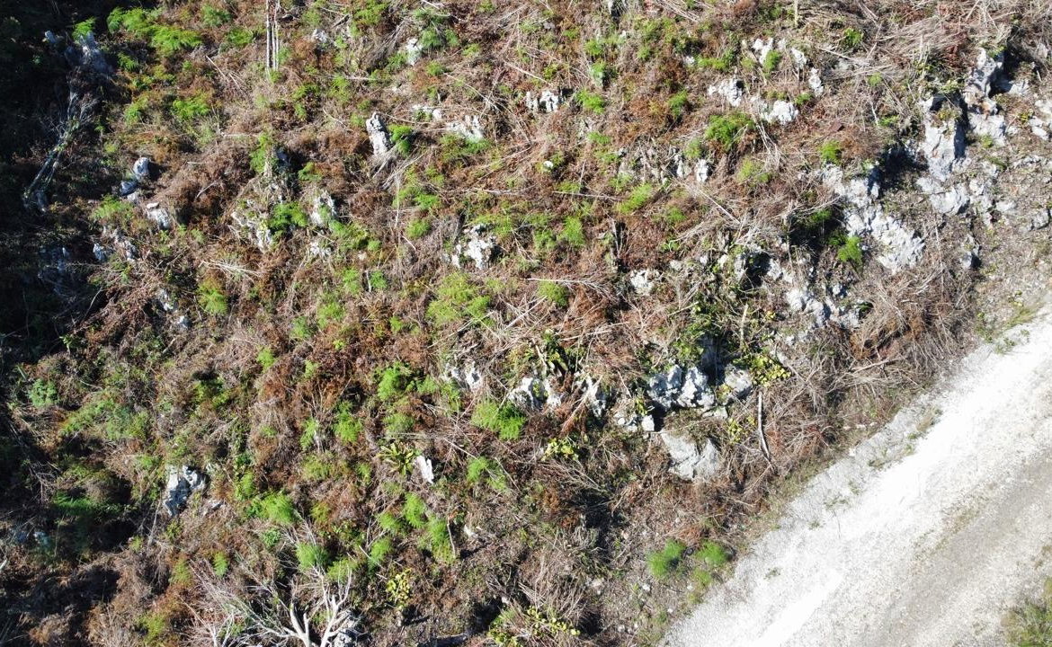 Seventeenth image of Kingsland And Cheveley in Mandeville, Manchester, Jamaica - property is For Sale