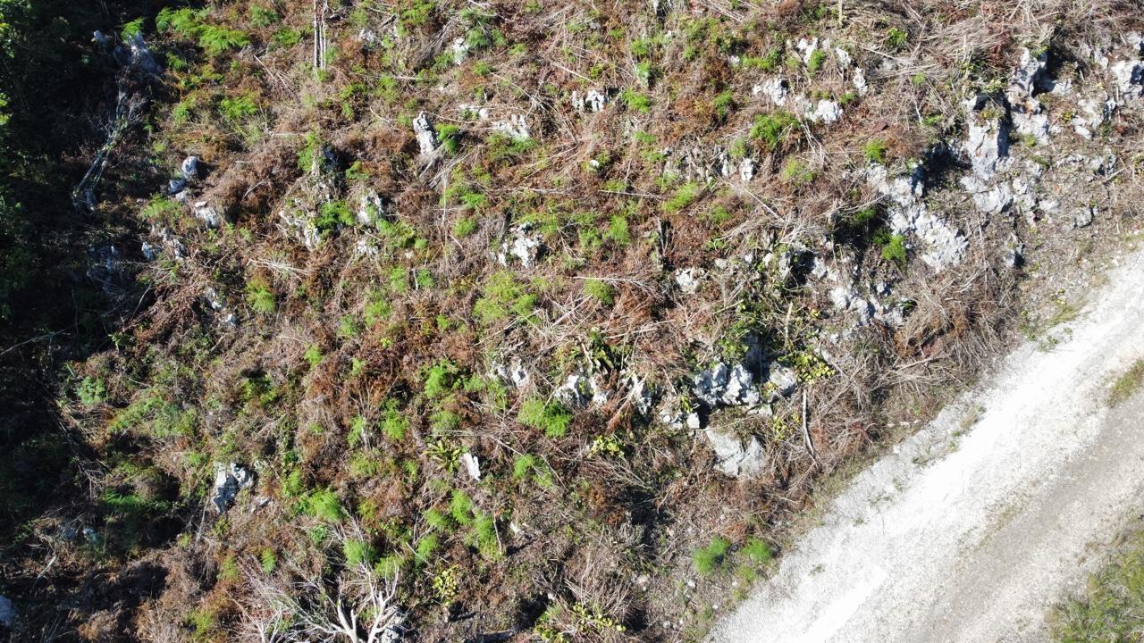 Seventeenth image of Kingsland And Cheveley in Mandeville, Manchester, Jamaica - property is For Sale