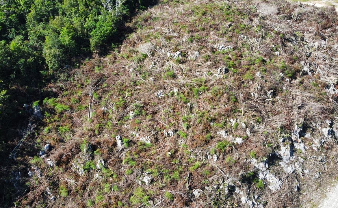 Eighteenth image of Kingsland And Cheveley in Mandeville, Manchester, Jamaica - property is For Sale