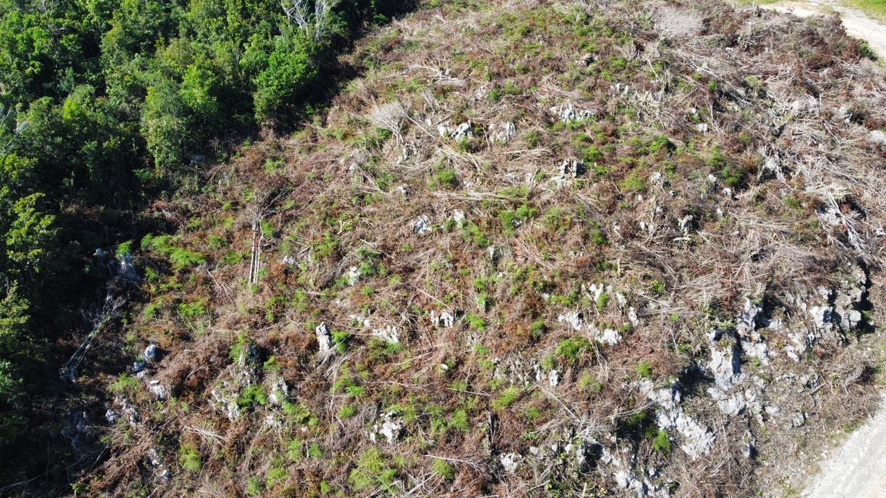 Eighteenth image of Kingsland And Cheveley in Mandeville, Manchester, Jamaica - property is For Sale