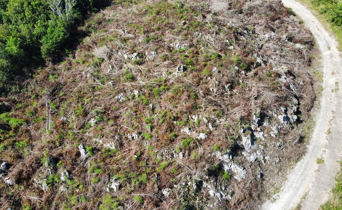 Nineteenth image of Kingsland And Cheveley in Mandeville, Manchester, Jamaica - property is For Sale