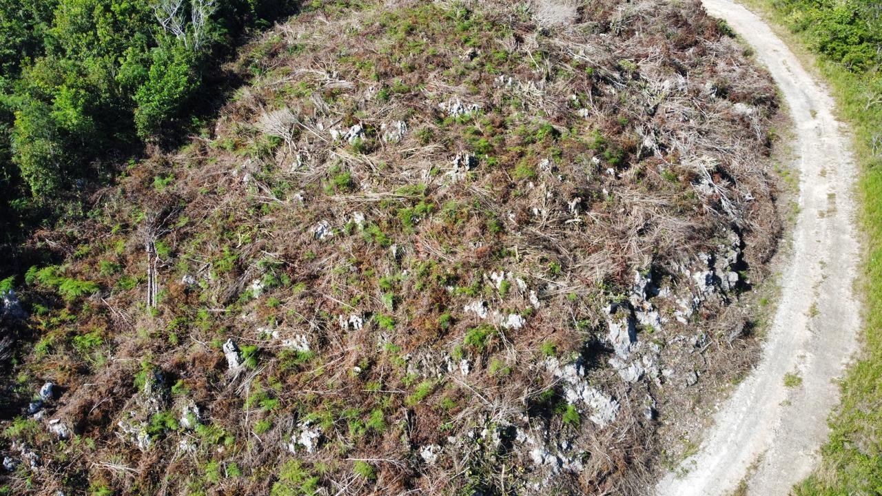 Nineteenth image of Kingsland And Cheveley in Mandeville, Manchester, Jamaica - property is For Sale