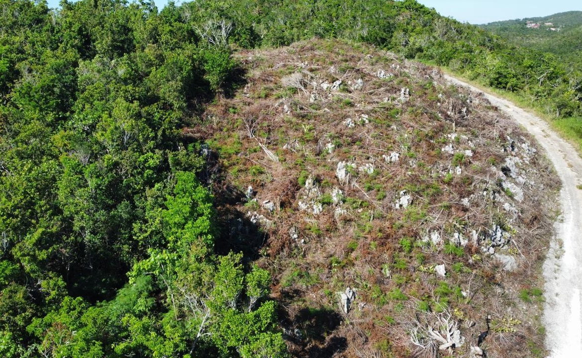 Twentieth image of Kingsland And Cheveley in Mandeville, Manchester, Jamaica - property is For Sale