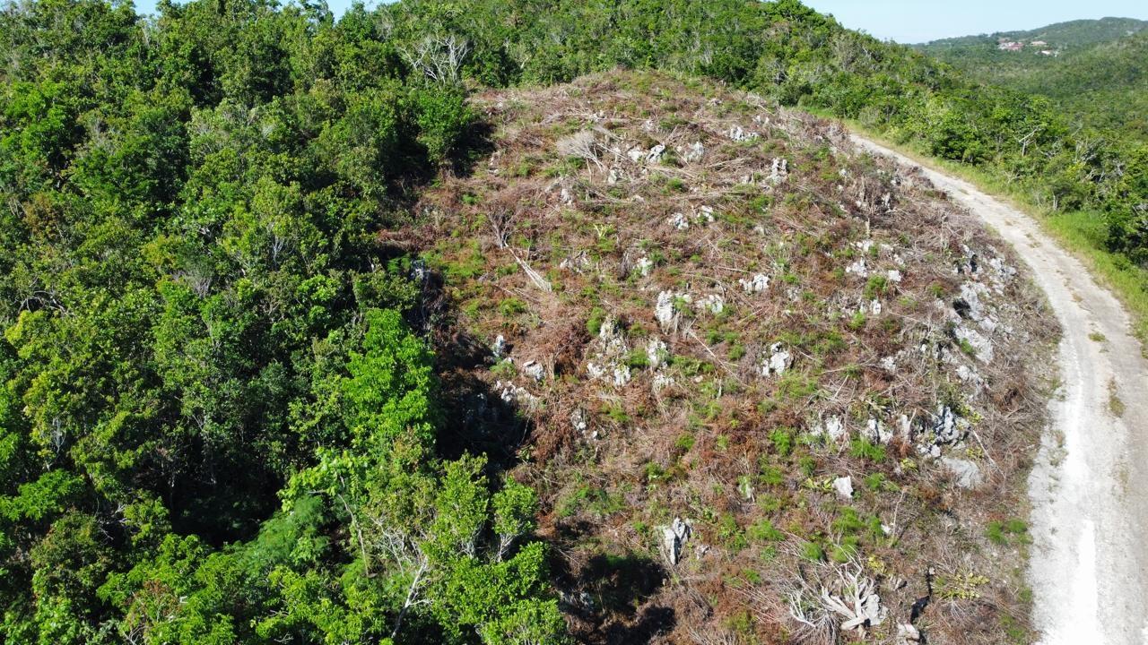 Twentieth image of Kingsland And Cheveley in Mandeville, Manchester, Jamaica - property is For Sale