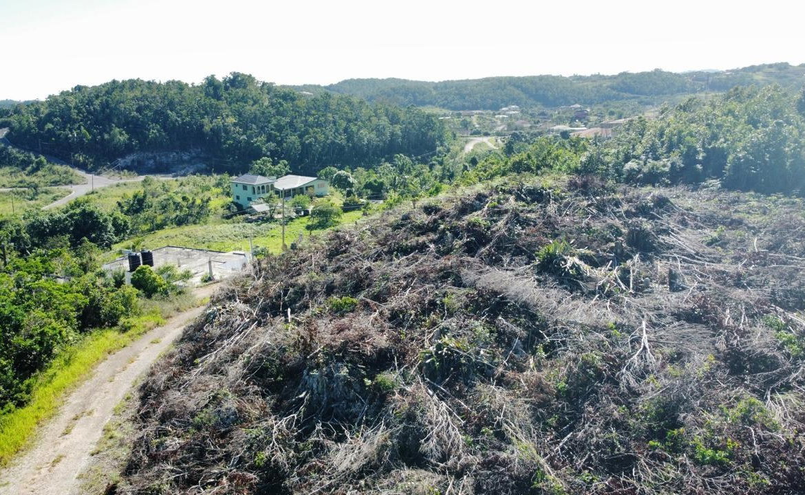 Third image of Kingsland And Cheveley in Mandeville, Manchester, Jamaica - property is For Sale