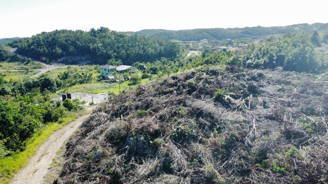 Third image of Kingsland And Cheveley in Mandeville, Manchester, Jamaica - property is For Sale