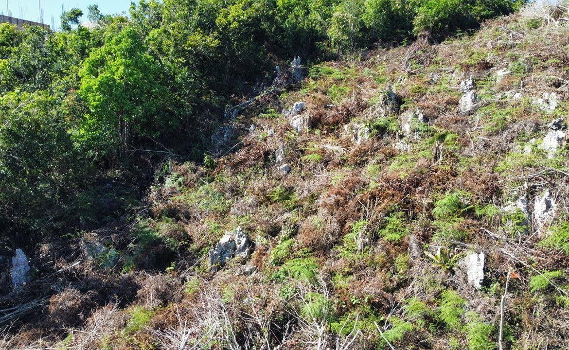 Twenty-First image of Kingsland And Cheveley in Mandeville, Manchester, Jamaica - property is For Sale