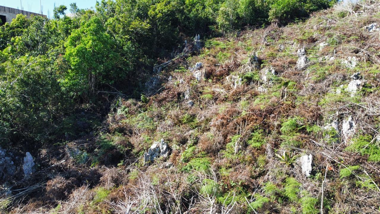 Twenty-First image of Kingsland And Cheveley in Mandeville, Manchester, Jamaica - property is For Sale