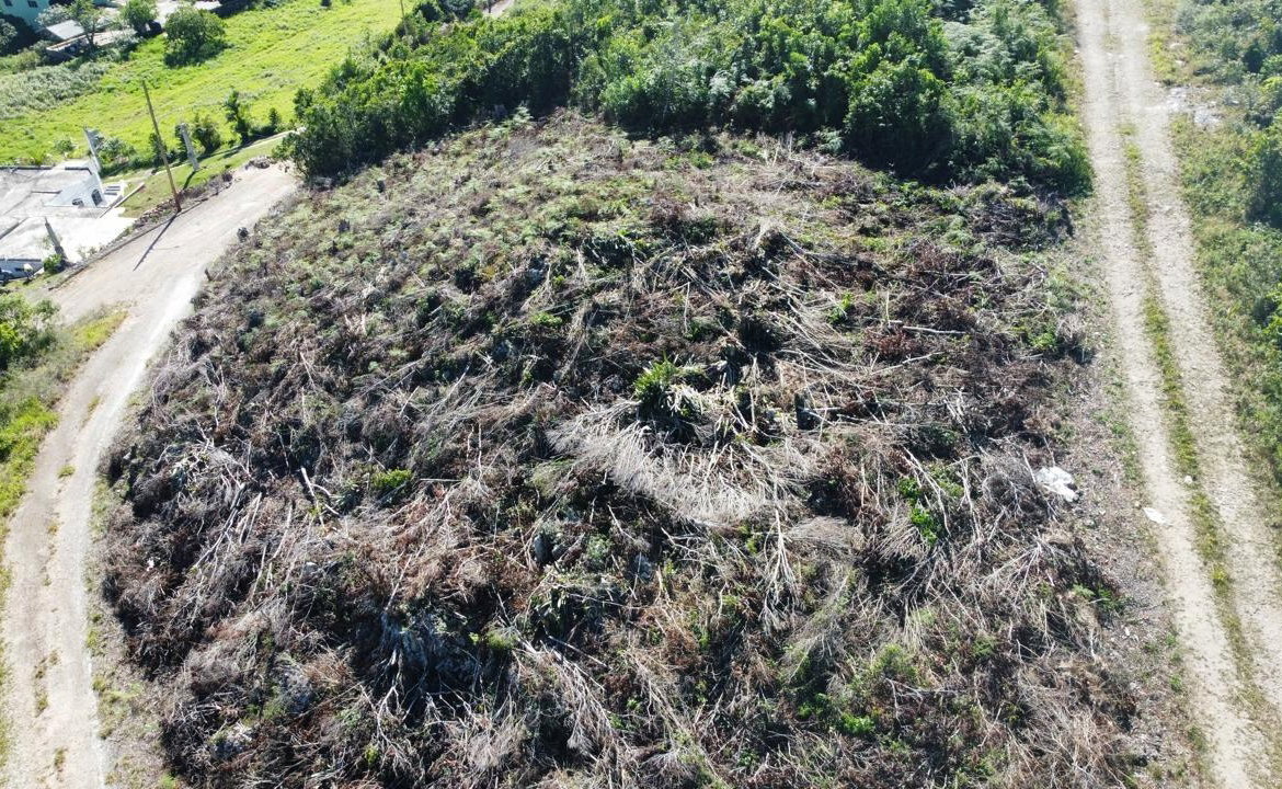 Fourth image of Kingsland And Cheveley in Mandeville, Manchester, Jamaica - property is For Sale