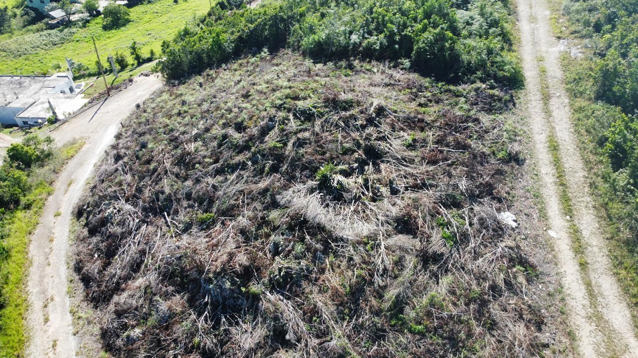 Fourth image of Kingsland And Cheveley in Mandeville, Manchester, Jamaica - property is For Sale