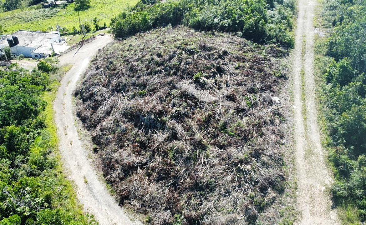 Fifth image of Kingsland And Cheveley in Mandeville, Manchester, Jamaica - property is For Sale