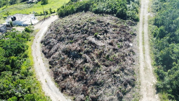 Fifth image of Kingsland And Cheveley in Mandeville, Manchester, Jamaica - property is For Sale