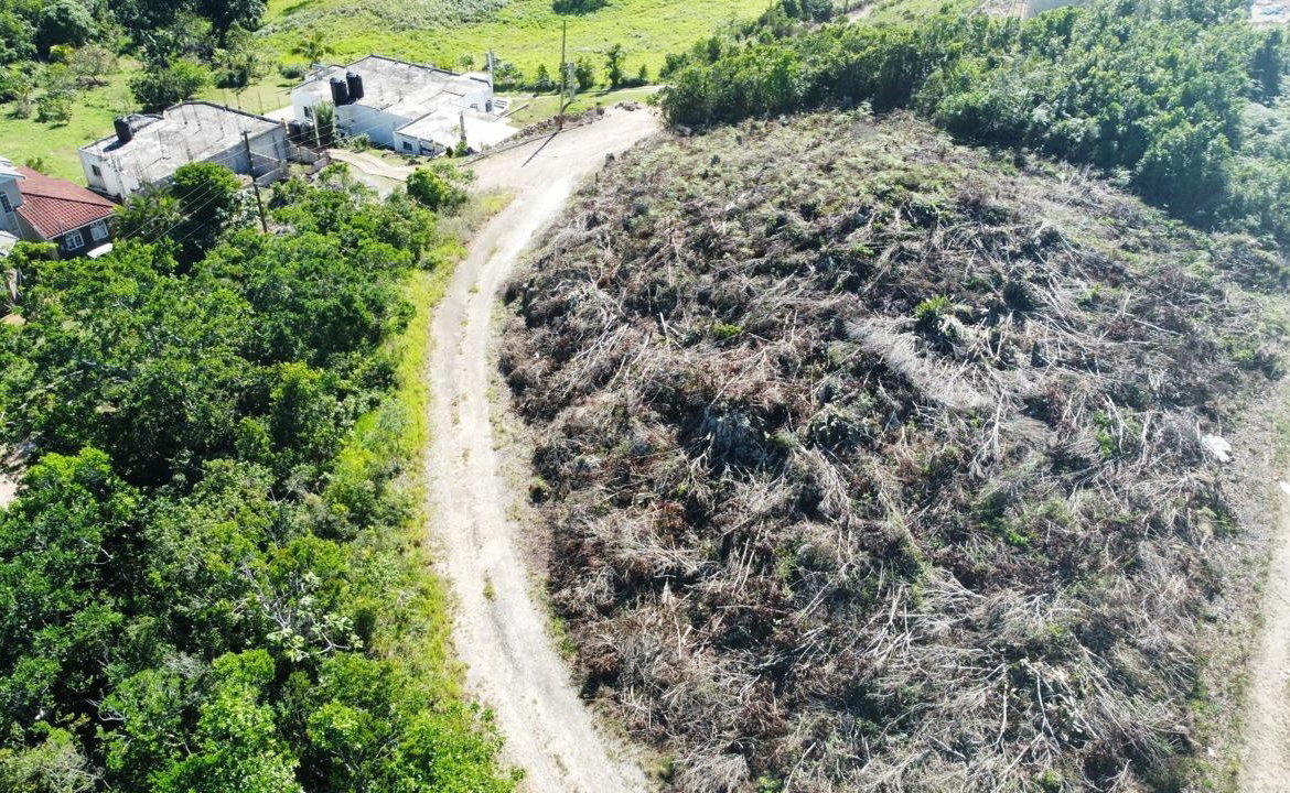 Sixth image of Kingsland And Cheveley in Mandeville, Manchester, Jamaica - property is For Sale