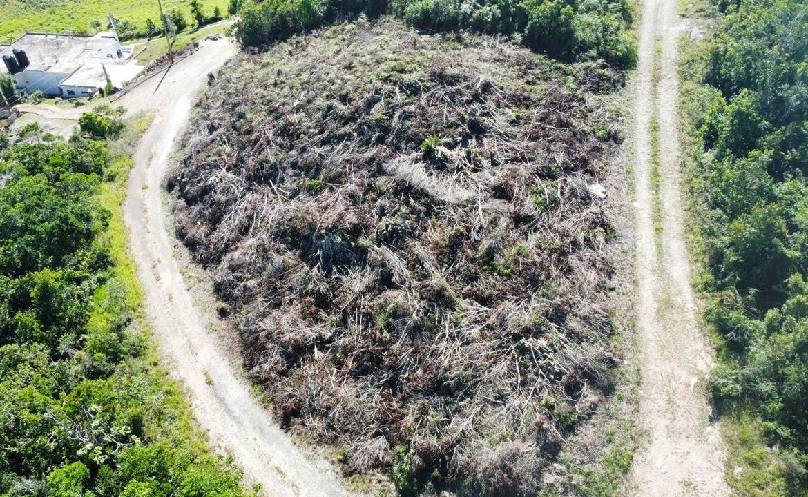 Seventh image of Kingsland And Cheveley in Mandeville, Manchester, Jamaica - property is For Sale