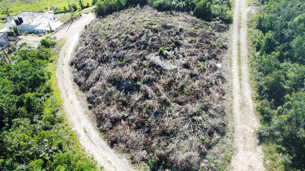 Seventh image of Kingsland And Cheveley in Mandeville, Manchester, Jamaica - property is For Sale