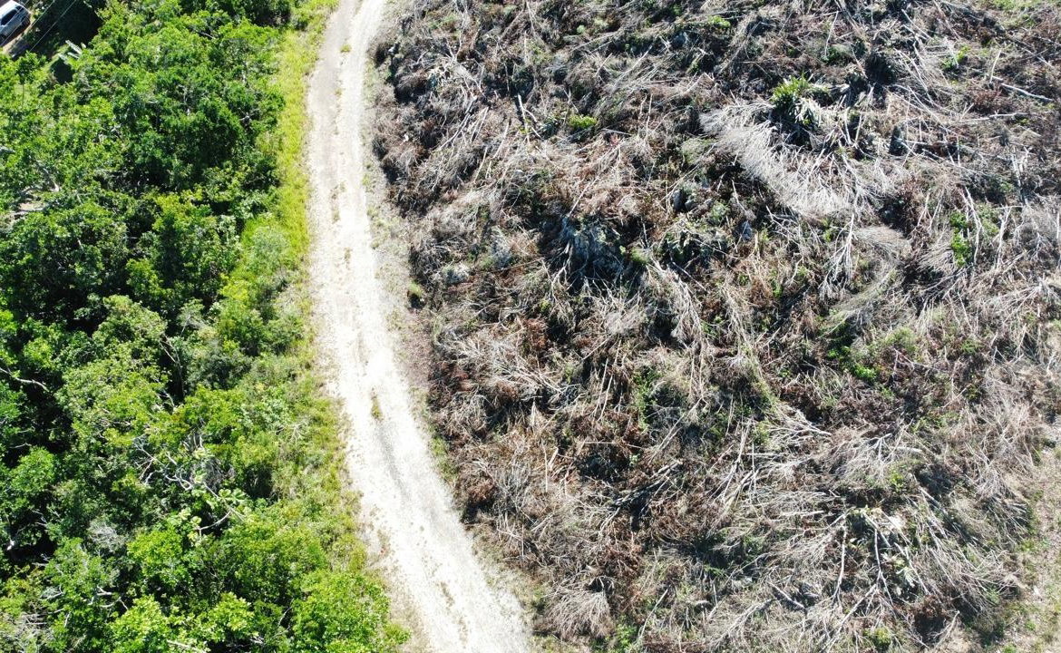 Ninth image of Kingsland And Cheveley in Mandeville, Manchester, Jamaica - property is For Sale