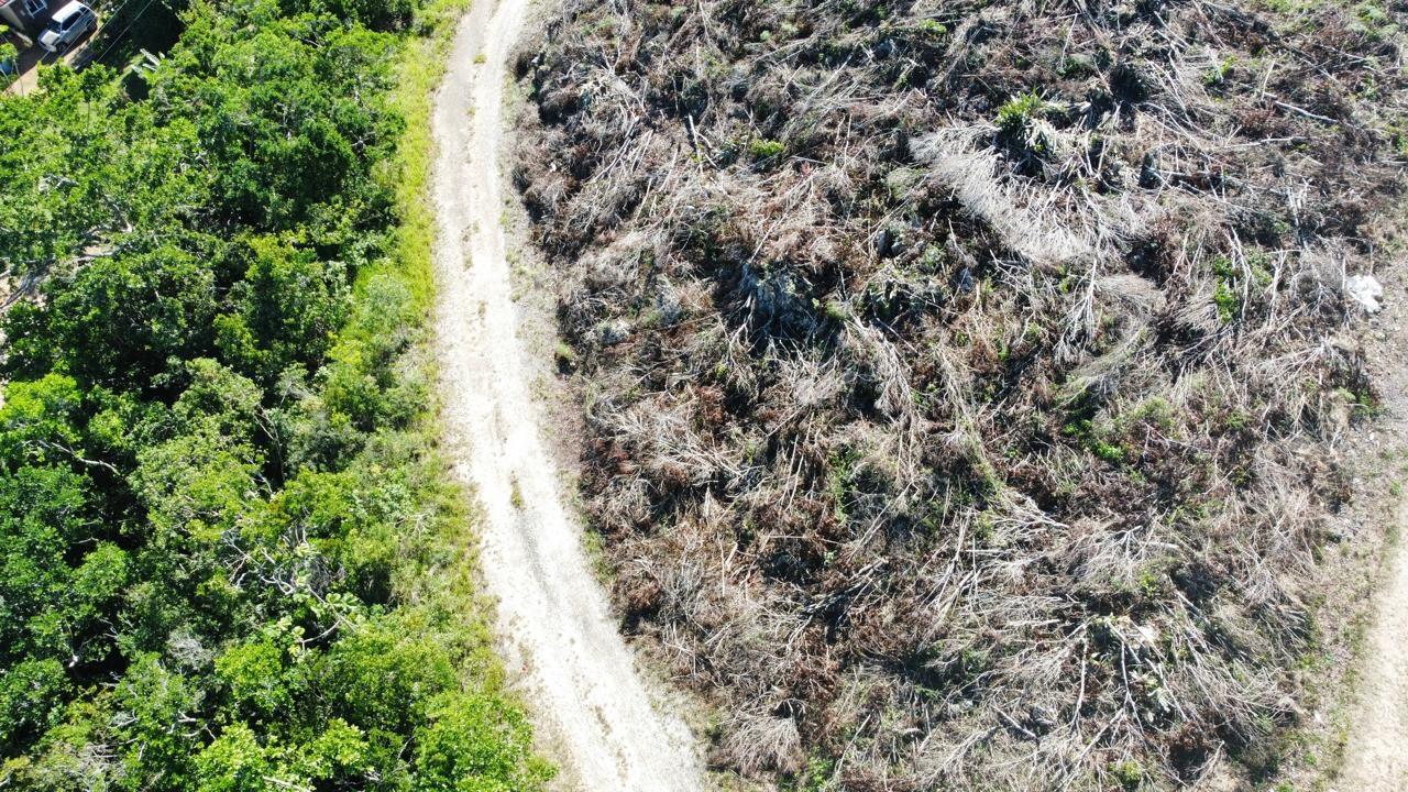 Ninth image of Kingsland And Cheveley in Mandeville, Manchester, Jamaica - property is For Sale